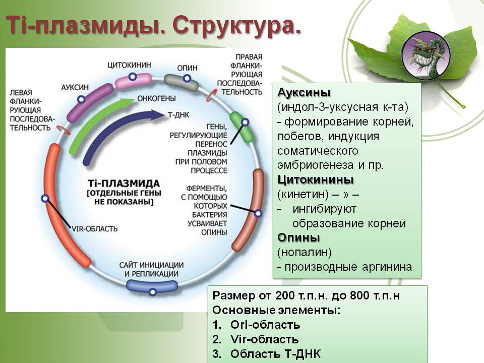 Кракен даркнет ссылка на сайт