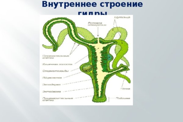 Hydra com зеркало