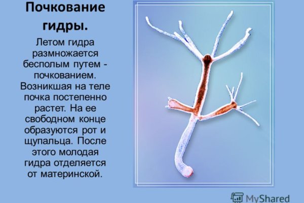 Ссылка кракен даркнет маркет