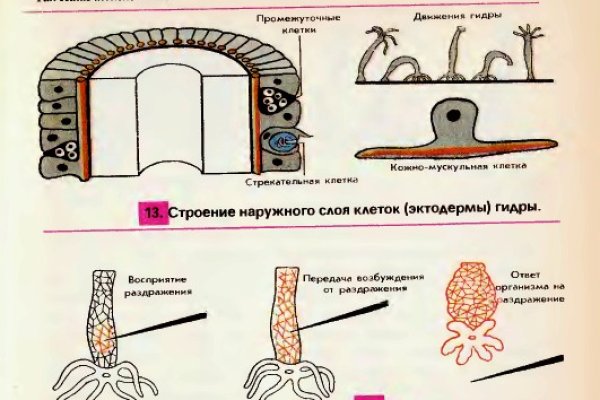 Кракен ссылка 11